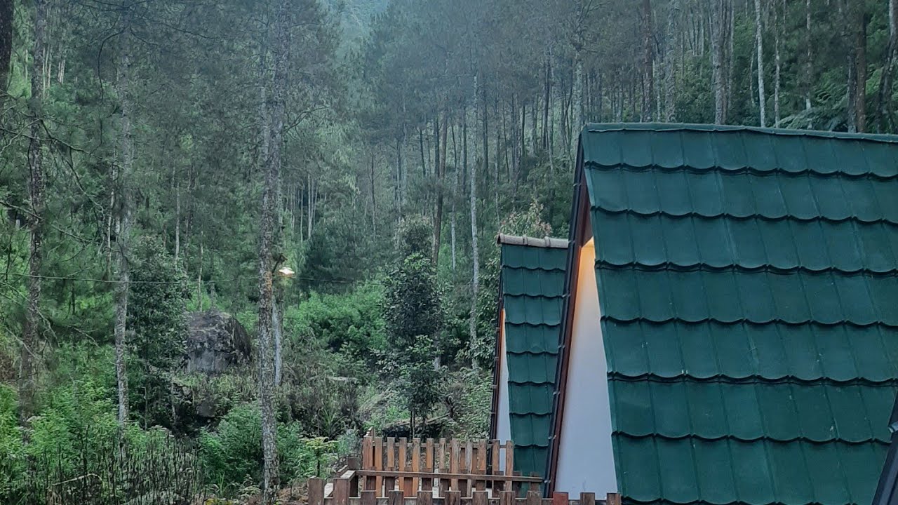 Jelajahi Keindahan Telomoyo Nature Park, Surga Tersembunyi di Jawa Tengah